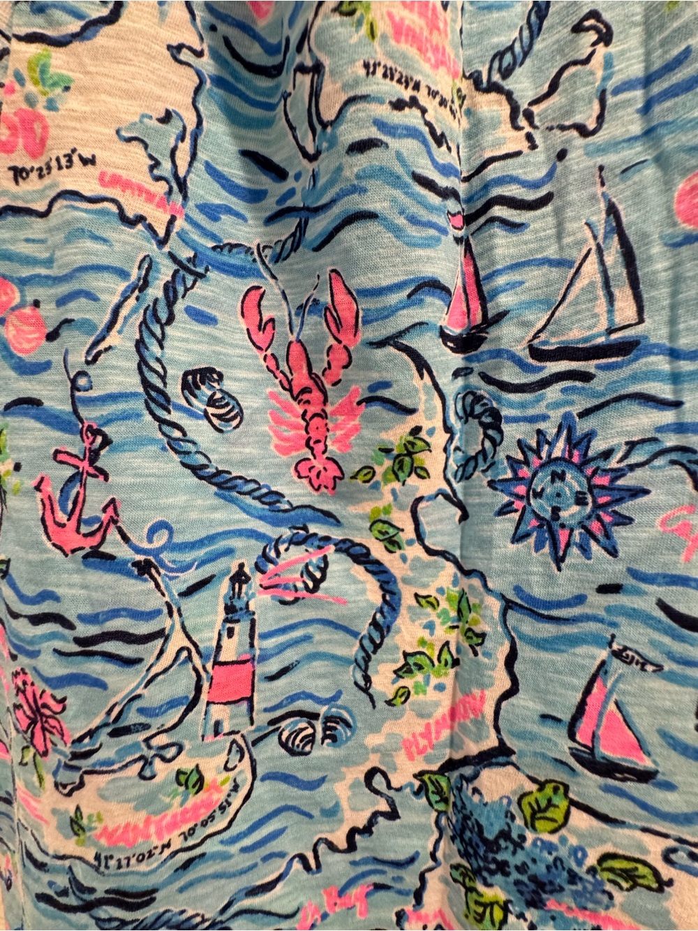 NWT Lilly Pulitzer Sz M Etta V-Neck Tee Bali Blue Lilly Loves Cape Cod - Picture 6 of 11